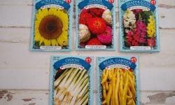 Are dollar store seeds good