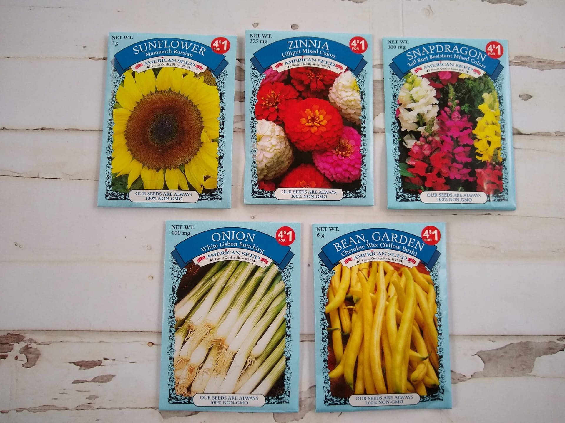 Are Dollar Store Seeds Good for Gardening? DOLLAR STORE REVIEWER